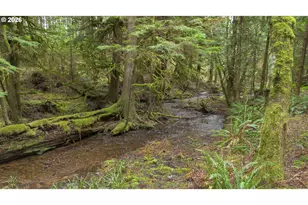 40401 NE Miller Rd, Washougal, WA 98671 - Photo 40