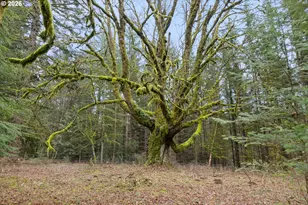 40401 NE Miller Rd, Washougal, WA 98671 - Photo 38