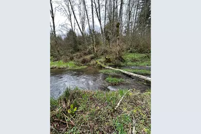 39402 NE 211th Ave, Amboy, WA 98601 - Photo 36