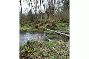 39402 NE 211th Ave, Amboy, WA 98601 - Photo 36