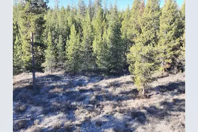 Hwy 97 N, Chemult, OR 97731 - Photo 28