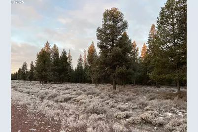 Hwy 97 N, Chemult, OR 97731 - Photo 6