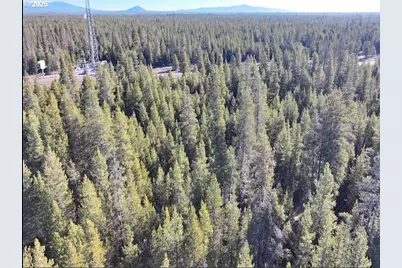 Hwy 97 N, Chemult, OR 97731 - Photo 20