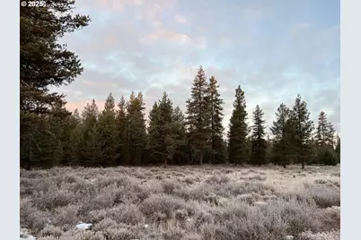 Hwy 97 N, Chemult, OR 97731 - Photo 4