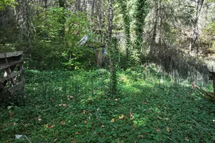 1250 Dry Creek Rd, Mosier, OR 97040 - Photo 24