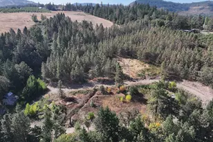 1250 Dry Creek Rd, Mosier, OR 97040 - Photo 42