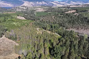 1250 Dry Creek Rd, Mosier, OR 97040 - Photo 36