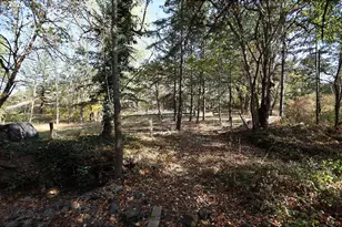 1250 Dry Creek Rd, Mosier, OR 97040 - Photo 6