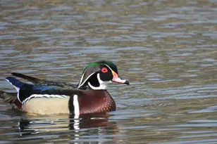 5525 SE Scenic Ln, Vancouver, WA 98661 - Photo 48