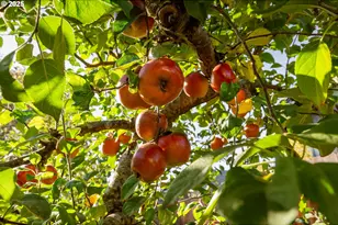 1204 E 2nd Ave, Sutherlin, OR 97479 - Photo 16