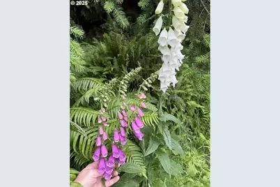 3196 S Tenmile, Lakeside, OR 97449 - Photo 2