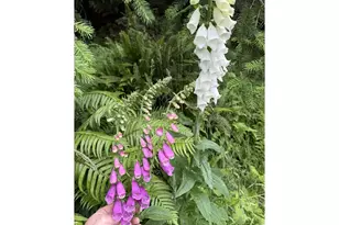 3196 S Tenmile, Lakeside, OR 97449 - Photo 2