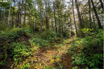 Castle Dr #TL 105, Oceanside, OR 97134 - Photo 4