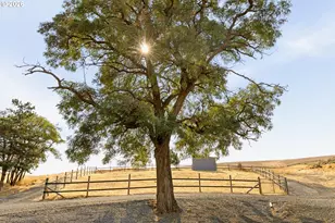 73000 Gordon Rdg Rd, Wasco, OR 97065 - Photo 42