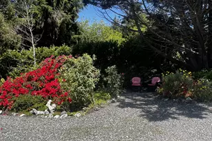 33910 Miller Ln, Gold Beach, OR 97444 - Photo 4