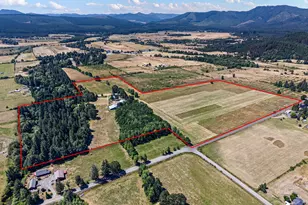 1340 Upper Camas Rd, Camas Valley, OR 97416 - Photo 6