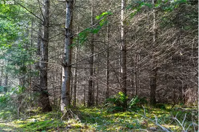 0 Berlin Ridge Rd, Lebanon, OR 97355 - Photo 12