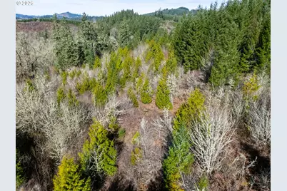 0 Berlin Ridge Rd, Lebanon, OR 97355 - Photo 20