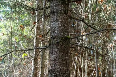 0 Berlin Ridge Rd, Lebanon, OR 97355 - Photo 14