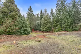 419 Idlewild Dr, Cave Junction, OR 97523 - Photo 44
