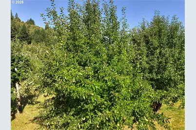 99301 Agness Rd, Gold Beach, OR 97444 - Photo 12