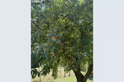 99301 Agness Rd, Gold Beach, OR 97444 - Photo 44