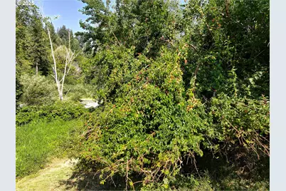 99301 Agness Rd, Gold Beach, OR 97444 - Photo 34