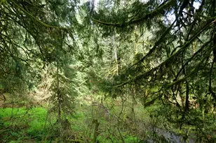 69947 E Hwy 26, Rhododendron, OR 97049 - Photo 18