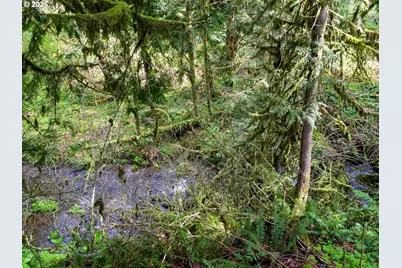 69947 E Highway 26 #1, Rhododendron, OR 97049 - Photo 16