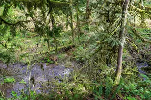 69947 E Hwy 26, Rhododendron, OR 97049 - Photo 16