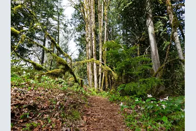 69947 E Highway 26 #1, Rhododendron, OR 97049 - Photo 22
