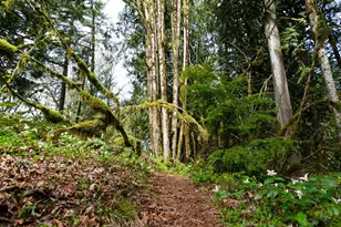 69947 E Hwy 26, Rhododendron, OR 97049 - Photo 22