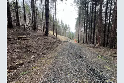 0 Minnesota St, Coos Bay, OR 97420 - Photo 14