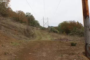 1320 Shoestring Rd, Riddle, OR 97469 - Photo 42