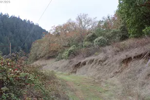 1320 Shoestring Rd, Riddle, OR 97469 - Photo 48