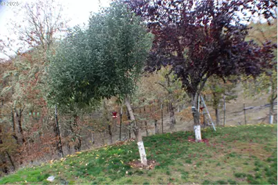 1320 Shoestring Rd, Riddle, OR 97469 - Photo 46