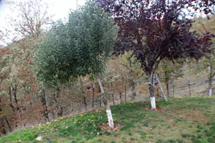 1320 Shoestring Rd, Riddle, OR 97469 - Photo 46