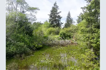 Rock Creek, Rockaway Beach, OR 97136 - Photo 10