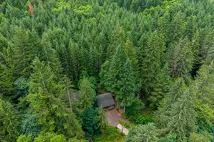 10256 Ridgeview Ter, Birkenfeld, OR 97016 - Photo 30