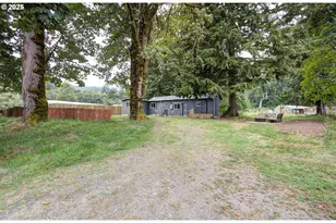 16790 Lewis River Rd, Cougar, WA 98616 - Photo 4