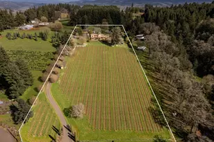 17001 NE Fairview Dr, Dundee, OR 97115 - Photo 2