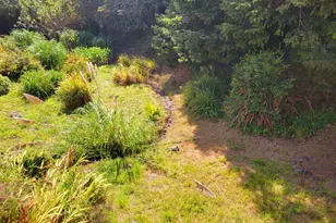 19921 Whaleshead Rd, Brookings, OR 97415 - Photo 30