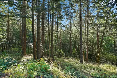 80 Echo Glen Rd, White Salmon, WA 98672 - Photo 42