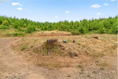 90245 Sheffler Rd, Elmira, OR 97437 - Photo 26