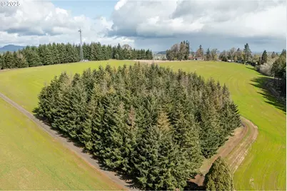 92884 Applegate, Junction City, OR 97448 - Photo 4