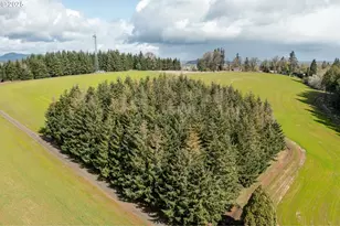 92884 Applegate, Junction City, OR 97448 - Photo 4