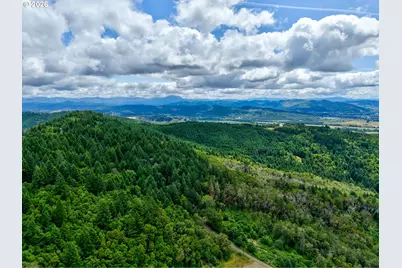 0 Wildflower Ln, Oakland, OR 97462 - Photo 2