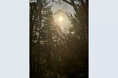 Se Rice Ln, Amity, OR 97101 - Photo 16