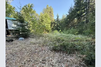 121 Cooke Rd, White Salmon, WA 98672 - Photo 44