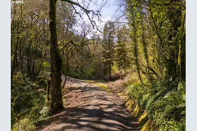 19855 NE Trunk Rd, Dundee, OR 97115 - Photo 40